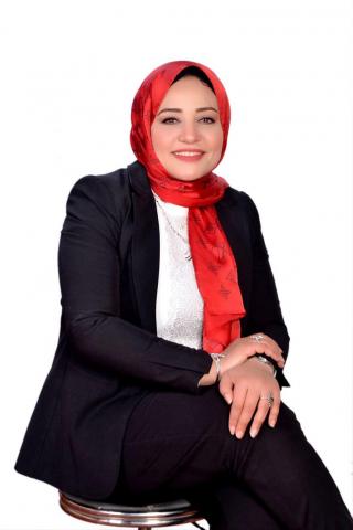 المهندسة شاهيناز أحمد