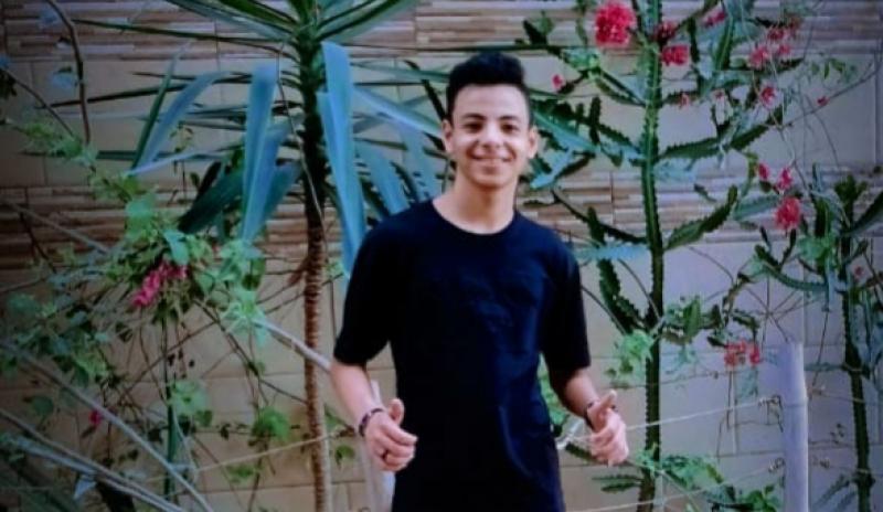 محمد احمد انيس