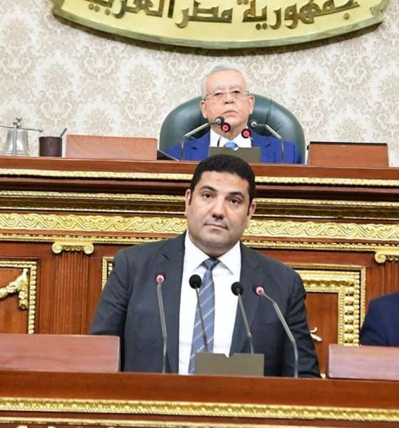 النائب الدكتور أحمد عبد المجيد