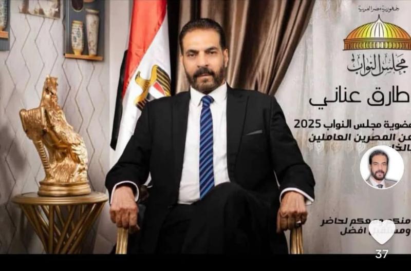 المهندس طارق عناني