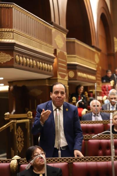 النائب أشرف أبو النصر