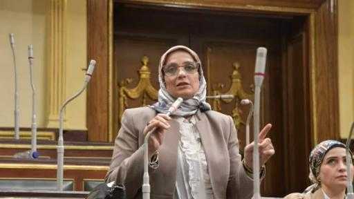 نجلاء العسيلي: تحرك الرئيس السيسي في أزمة البنزين المغشوش «صفعة حاسمة» على وجه الفساد