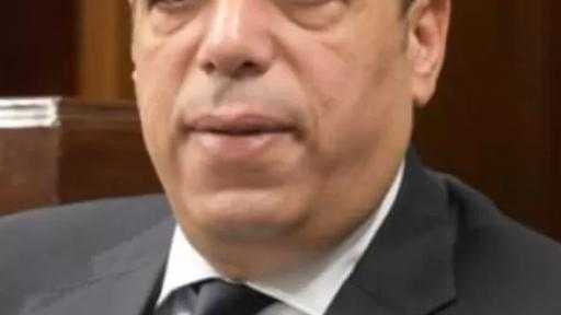 الصافي عبد العال: مصر تصدت بحزم لمحاولات تهجير الفلسطينيين بتوجيهات حاسمة من الرئيس