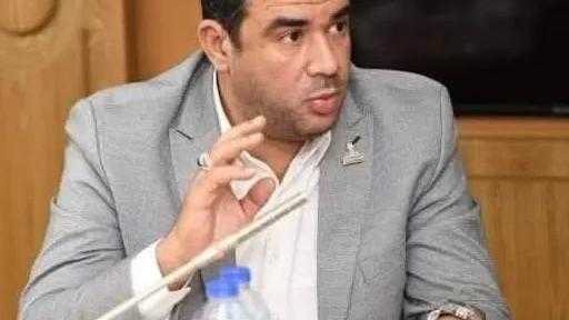 محمد كمال: المصريون أسقطوا أخطر تنظيم إرهابي بثورة شعبية أنقذت الدولة من السقوط