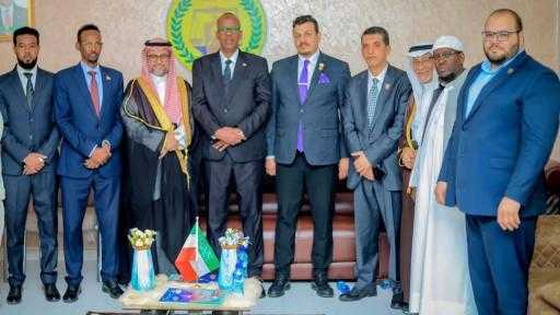 المجلس الأعلى للاقتصاد العربي الإفريقي: التعاون العربي الاستثماري مع صوماليلاند يدعم الأمن الغذائي العربي