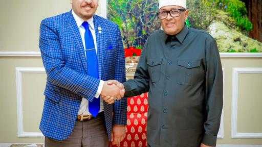 Arab and African Economic Council: Somaliland Presidents Meeting Boosts Investor Confidence