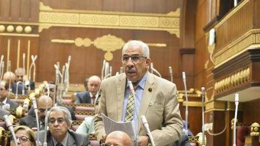 النائب مجدي سليم دينامو أسيوط تحت قبة مجلس الشيوخ