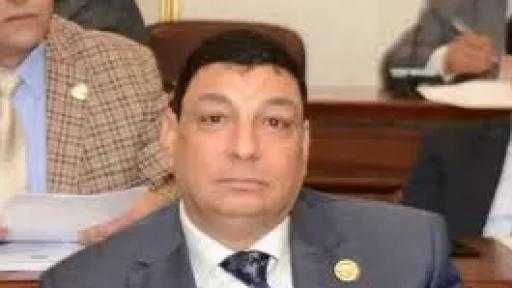 صناعة البرلمان: توجيهات الرئيس دفعة قوية لتوطين صناعة السيارات بمصر