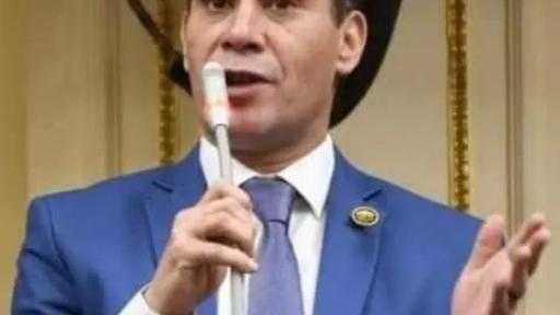 النائب  أحمد عاشور: الإخوان الإرهابية تتوهم إسقاط الدولة.. ومصر أقوى من مؤامراتهم