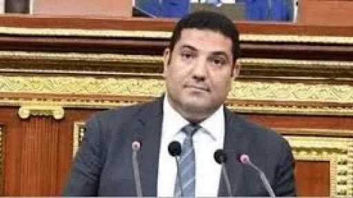 أحمد عبد المجيد: المقترح المصري لوقف حرب غزة طوق النجاة الحقيقي للشعب الفلسطيني