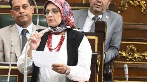 النائبة نجلاء العسيلي: زيارة رئيس الإمارات تؤكد عمق العلاقات التاريخية وتصب في صالح استقرار المنطقة
