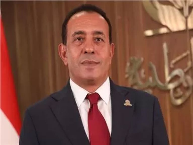 النائب محمد شعيب عضو مجلس الشيوخ