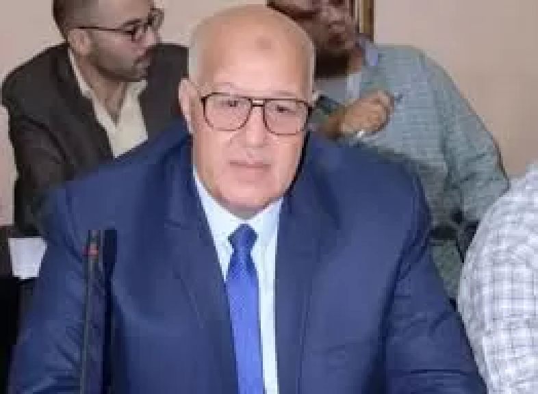المستشار رضا حجي