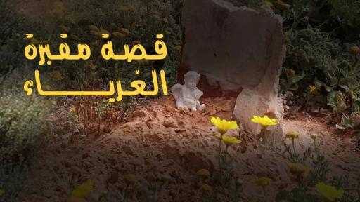 ستوري كاتشرز.. منصة تُوثّق حكايات إنسانية تُثبت أن الإرادة أقوى من المستحيل