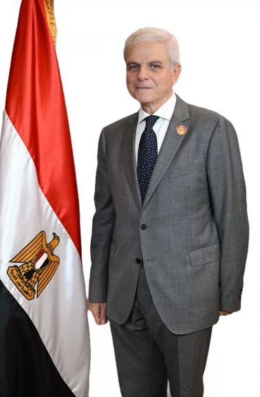 السفير حاتم سيف النصر عضو مجلس الشيوخ