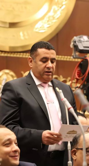 النائب أسامة مدكور