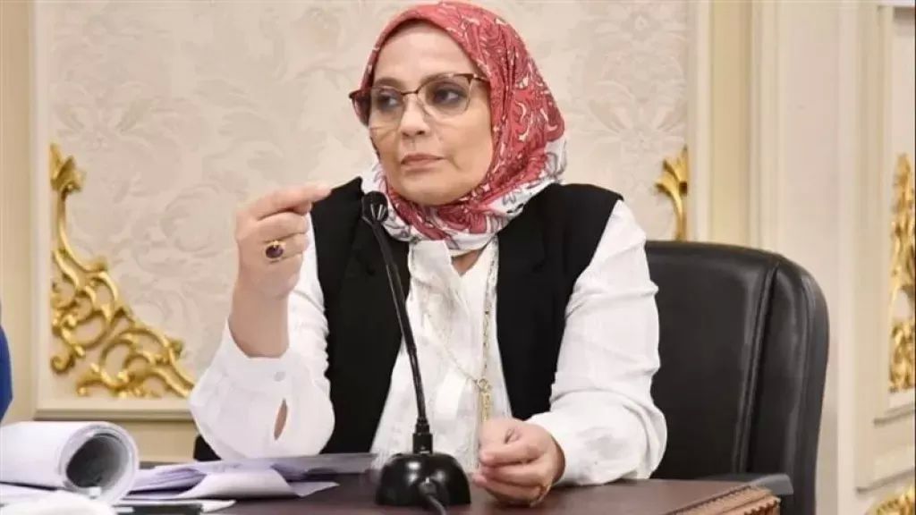 النائبة نجلاء العسيلي عضو مجلس النواب