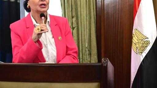 النائبة أمل سلامة: افتتاح المتحف الكبير حدث تاريخي متفرد يعكس عظمة مصر  وحضارتها