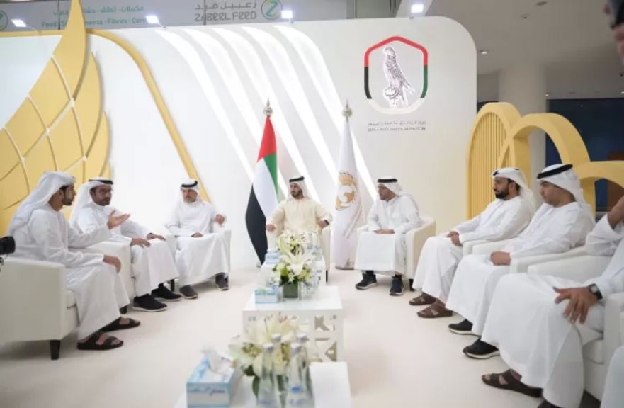 اد الصقارين الإماراتي 