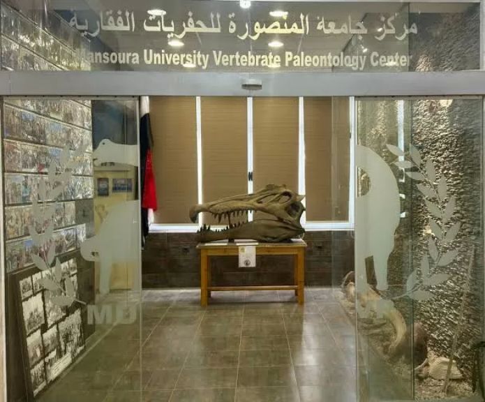 الاكتشاف الجديد