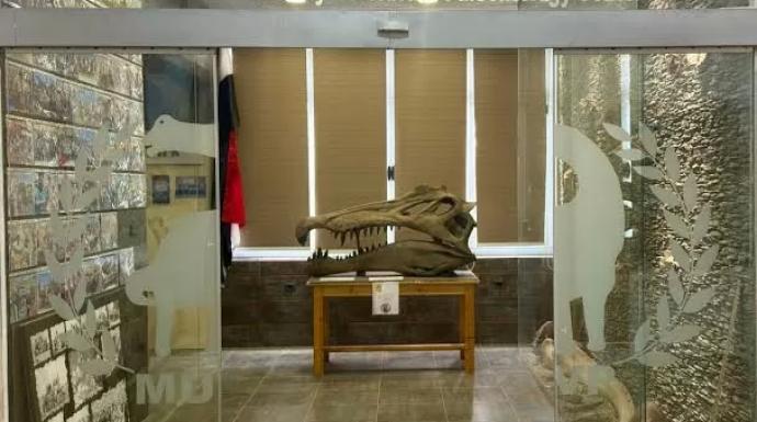 حفريات جامعة المنصورة يعلن اكتشاف نوع من التماسيح عاش في مصر قبل ٨٠ مليون سنة