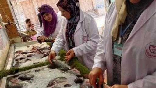 لقليوبية تضبط 131 طن لحوم وأسماك فاسدة وتحصن 131 ألف رأس ماشية