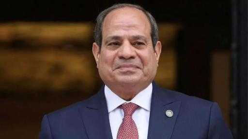 السيسي: ما فعلته في انتخابات النواب كان ”فيتو” على ممارسات لم أقبلها