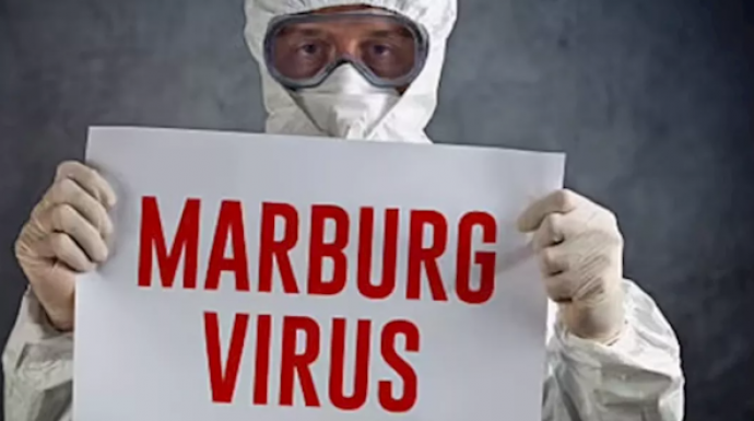 يسبب الوفاة في7 أيام.. هل هناك قلك انتقال فيروس ماربوج القاتل لمصر؟