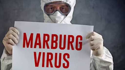 يسبب الوفاة في7 أيام.. هل هناك قلك انتقال فيروس ماربوج القاتل لمصر؟