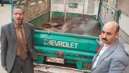 المنيا:استمرار تشديد الرقابة على الأسواق ومنافذ بيع اللحوم