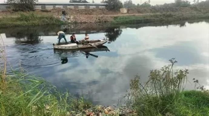 الشرقية تواجه تماسيح الزوامل.. وتحذيرات رسمية من عدم تعامل الأفراد معها