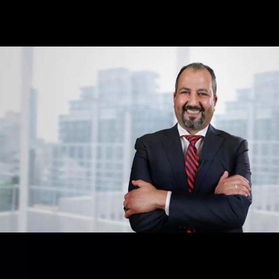 ربيع البرديسي، الخبير الاقتصادي