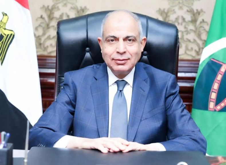 محافظ المنيا 