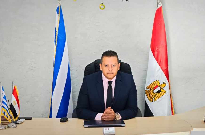 رضا عكاشة، مساعد أمين عام شؤون المصريين بالخارج بحزب "مصر المستقبل"