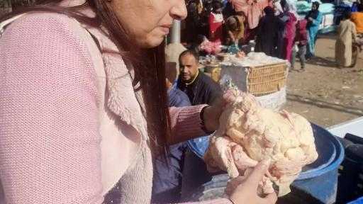 المنيا :ضبط لحوم غير صالحة للاستهلاك الآدمي
