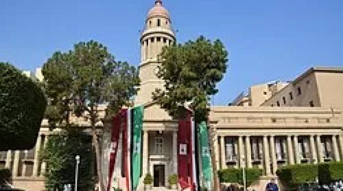 أستاذ بقصر العيني يرد على مغالطات الجزيرة حول احتفال الوافدين: أرقام غير دقيقة