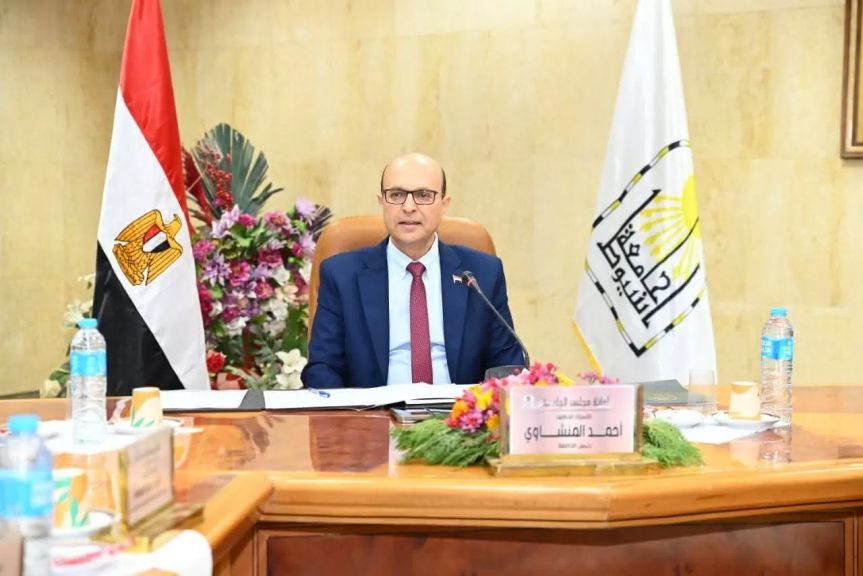 ا. د أحمد المنشاوى 