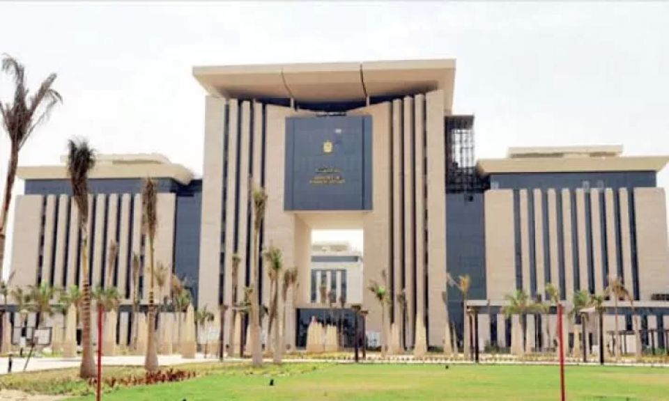 وزارة الخارجية المصرية 