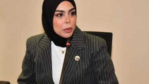 انضمام النائبة سچى عمرو هندي للجنة العلاقات الخارجية.. وتكشف: هذه أولوياتي باللجنة