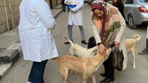 بيطري المنيا: تحصين الكلاب الحرة ضد السعار بعدة مناطق حيوية بالمحافظة