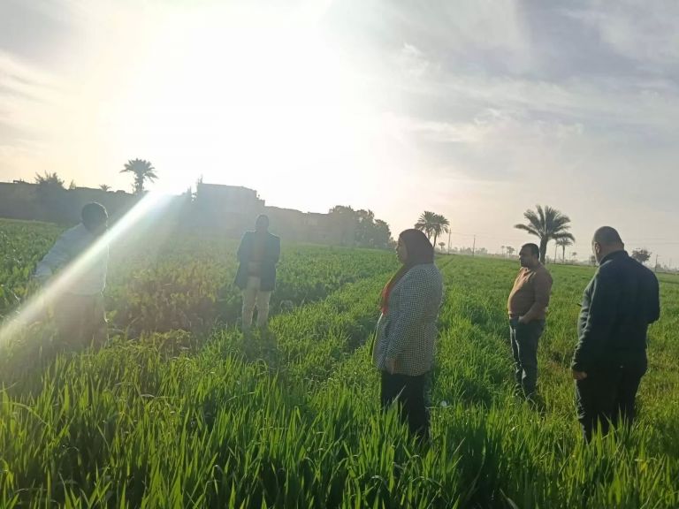 إكرام محمود رئيس مركز ومدينة بنى مزار 