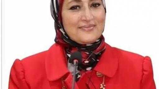 رئيس إعلام النواب: مسلسل صحاب الأرض نجح في تسويق مفهوم القوة الذكية للدولة المصرية