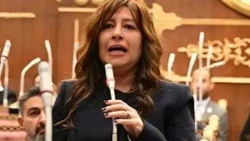 النائبة سوزي سمير: المرأة المصرية شريك رئيسي في مسيرة التنمية الوطنية