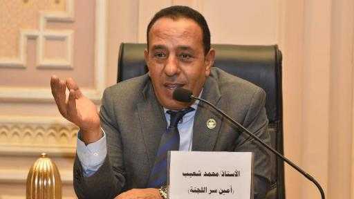 النائب محمد شعيب يطالب بزيادة المساحة المزروعة بالأرز في المحلة وسمنود دعمًا للمزارعين وتعزيزًا للأمن الغذائي