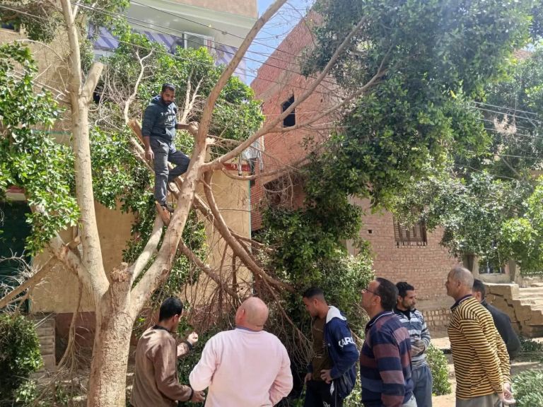 ابراهيم صابر رئيس الوحده المحليه بصندفا 