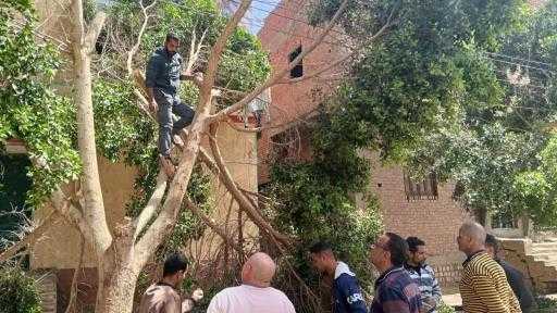 رئيس المركز : رفع كفاءة الانارة بقرى بنى على وصندفا