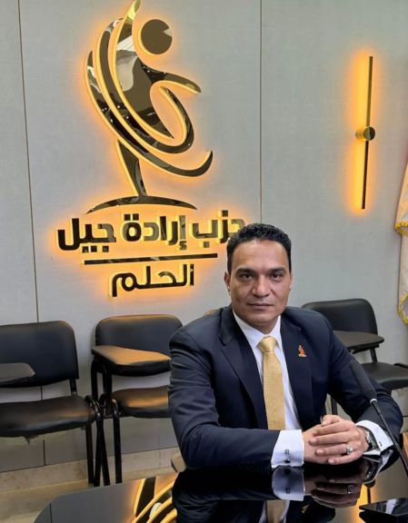 إبراهيم ضيف، نائب رئيس حزب إرادة جيل