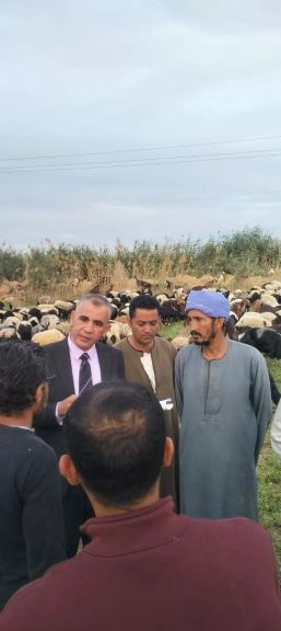 نائب شمال المنيا ا . د جمادة حلبى