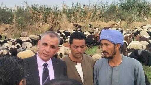 النائب الدكتور حمادة حلبى يغرد منفردا ويتقدم بطلب احاطة لرئيس البرلمان المصرى .