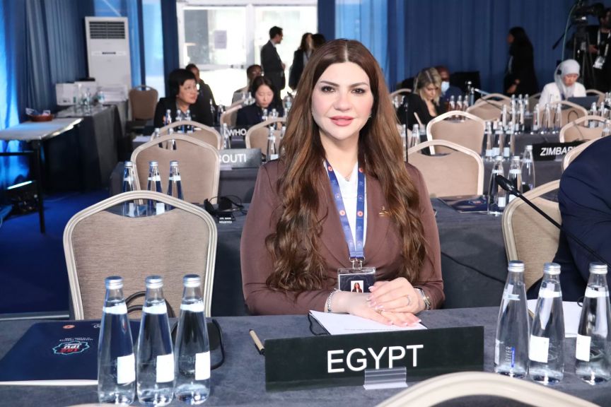 الدكتورة غادة البدوي، أمين سر لجنة التعليم والاتصالات بمجلس الشيوخ